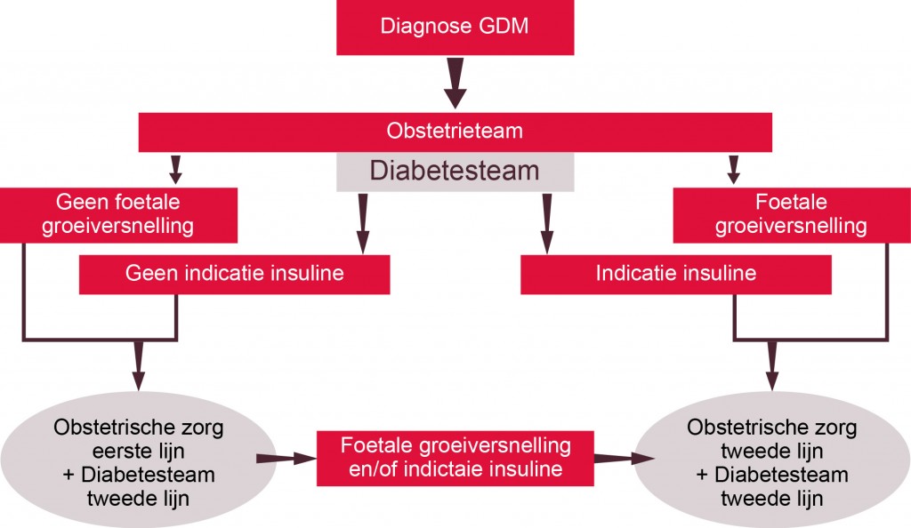 Afbeelding Diagnose GDM